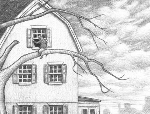 Illustration from Wonderstruck by Brian Selznick, pages 58-59