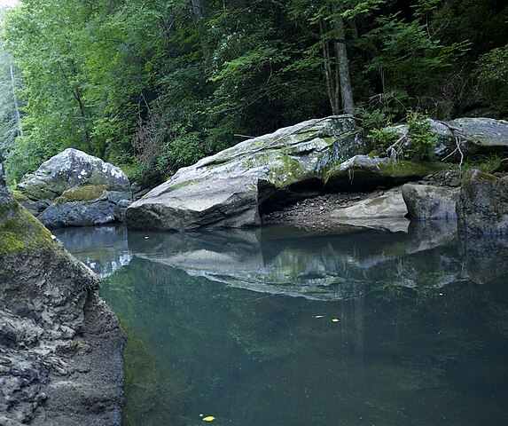 Photo of trees and mossy rocks reflected in river