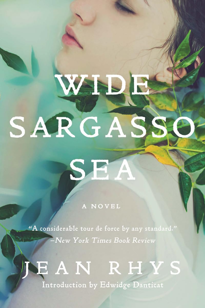Wide Sargasso Sea book cover
