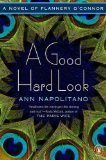 A Good Hard Look by Ann Napolitano