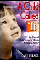 A Child Called It