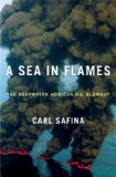 A Sea in Flames jacket