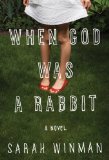 When God Was a Rabbit